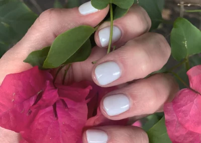 Shellac Nail salon work