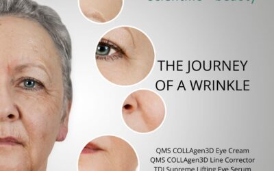 The Journey of a Wrinkle